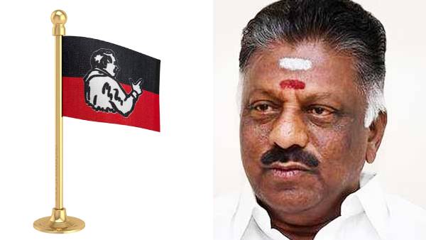 பேட்டி 