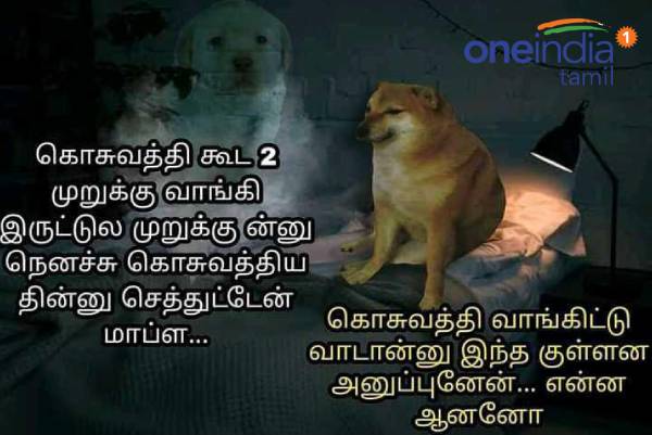 Funny memes collection on mosquito