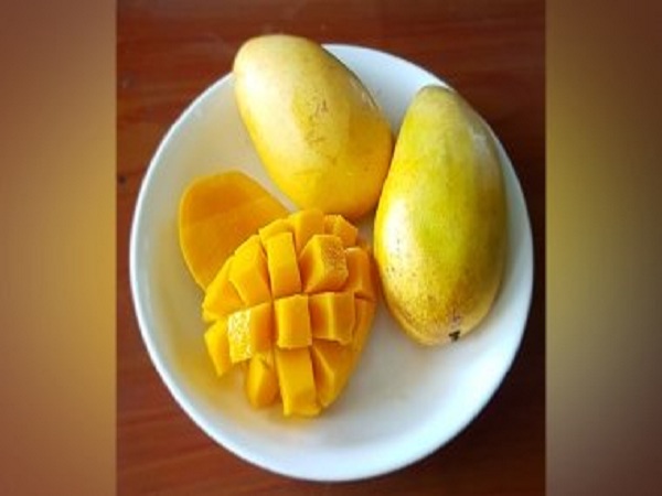 பொட்டாசியம் பொட்டாசியம்