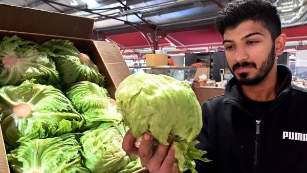 லேட்டிஸ் லேட்டிஸ்