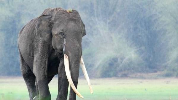  பெயர் காரணம்