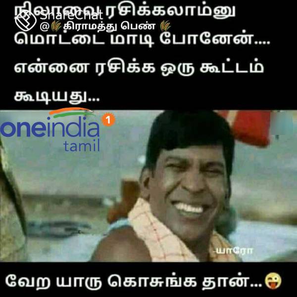 Funny memes collection on mosquito