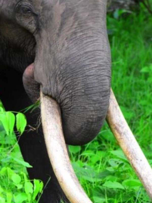  என்ன ஆச்சு