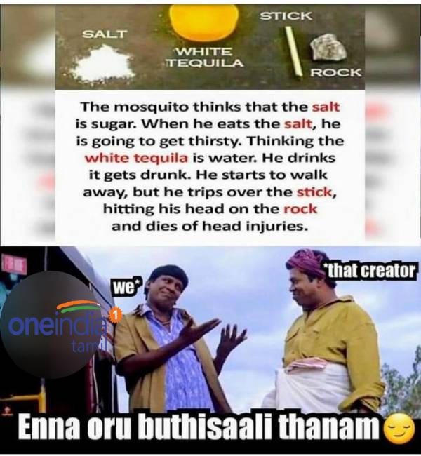 Funny memes collection on mosquito