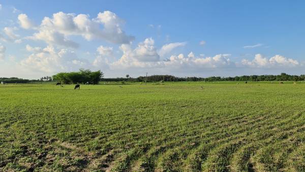 மகிழ்ச்சி மகிழ்ச்சி