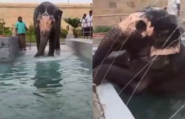 அகிலாவுக்கு நீச்சல் குளம் 