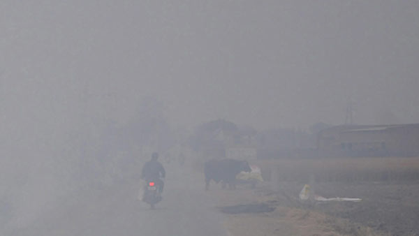 நடவடிக்கை அவசியம் 