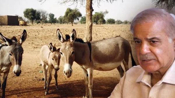 ஊடகத்துக்காக மட்டுமே... 