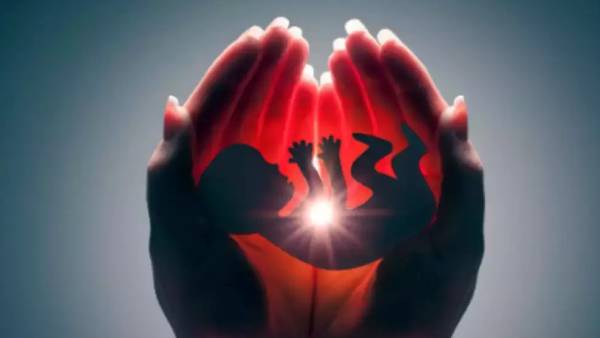 உதவி இனப்பெருக்க ஒழுங்கு மசோதா 