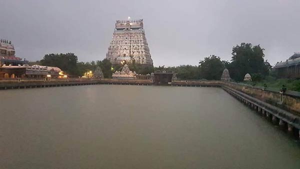  தனி விதிகள் 