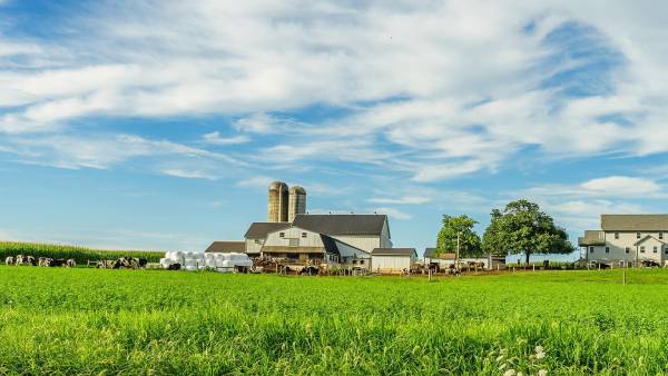 திருப்பி அழிப்பு திருப்பி அழிப்பு