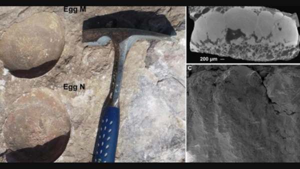  ஏன் அரியது