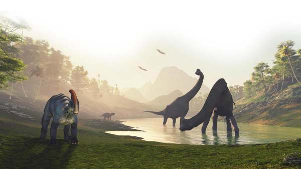  முட்டைக்குள் முட்டை