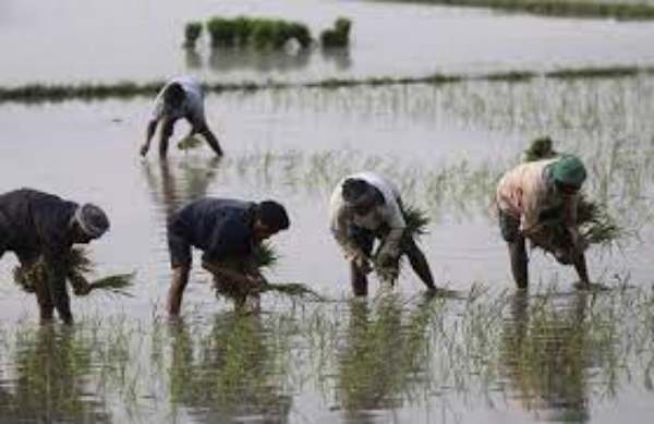 எமிரேட்ஸ் ஒப்பந்தம் 