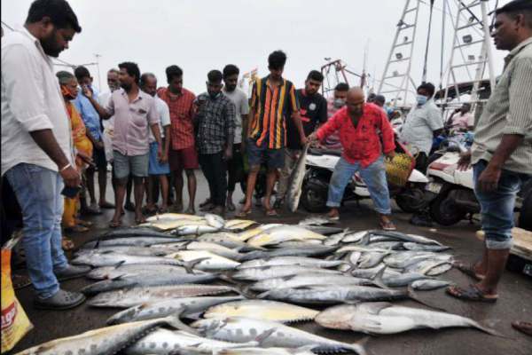  மீன்பிடி தடை காலம்