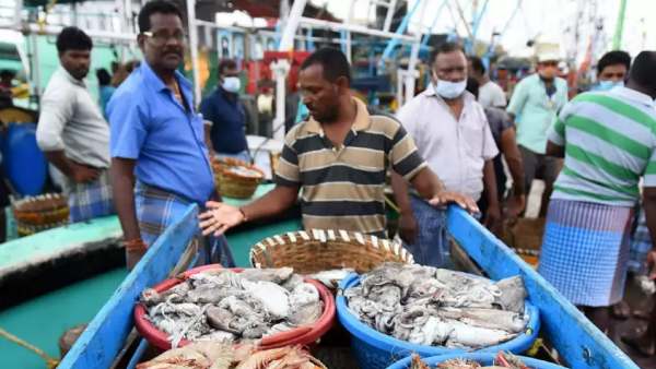  மீன்கள் இல்லை