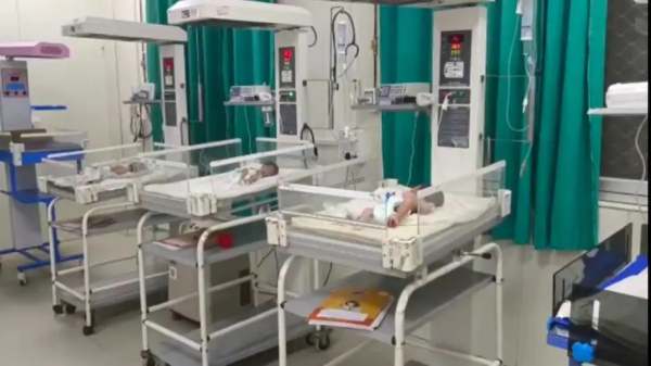 எறும்புகள் மொய்த்ததால் 