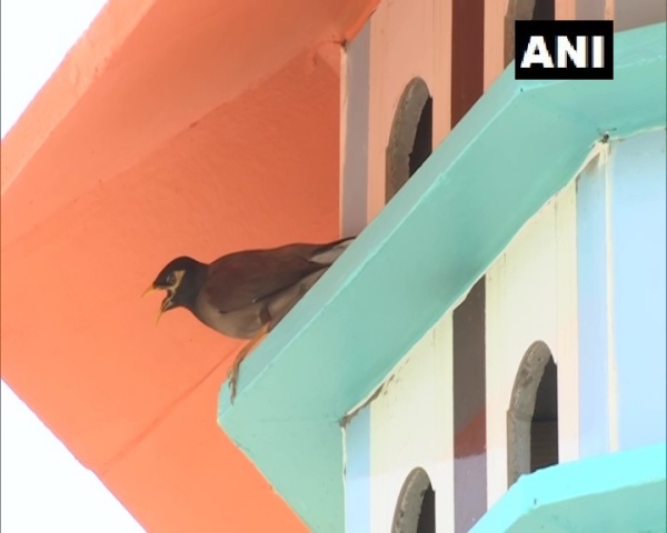  6 அடுக்கு கட்டிடம்