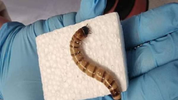  ஏன் முக்கியம்