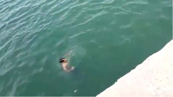 ஏஜாஸ் எங்கே 