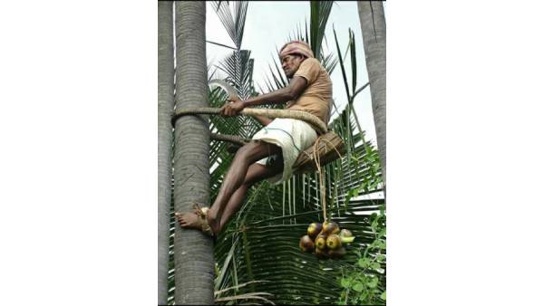 மீண்டும் அமைப்பு 