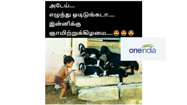  Funny memes collection on sunday meals