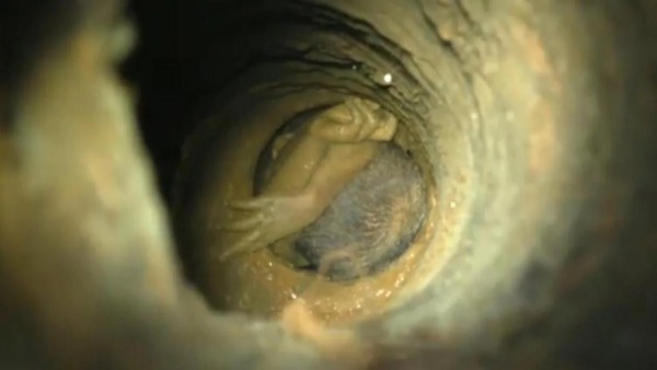 Disaster rescue force saved 5 years boy fell into 30 feet borewell in Madhya Pradesh Disaster rescue force saved 5 years boy fell into 30 feet borewell in Madhya Pradesh