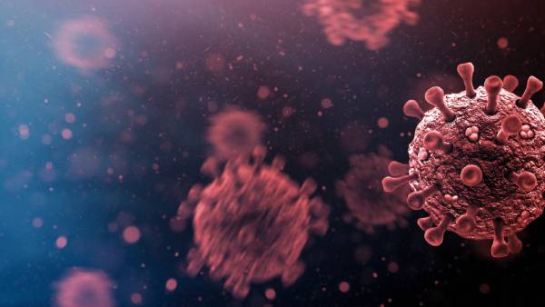 போலியோ கிருமிகள்