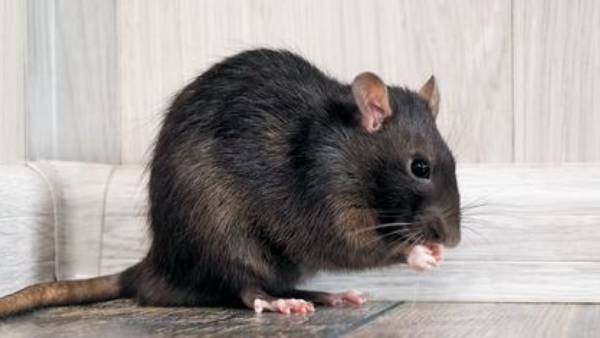  குறைந்தது