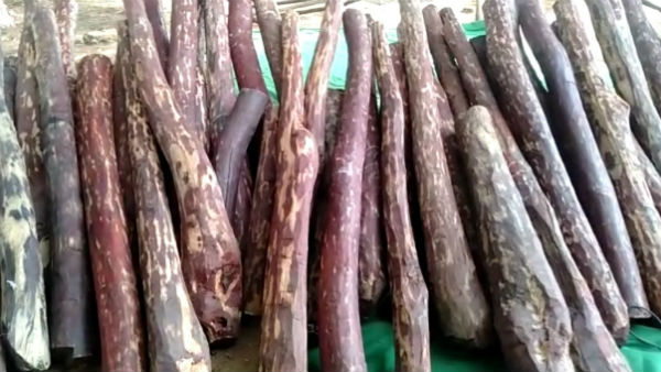 நிற்காமல் சென்ற வாகனங்கள் 