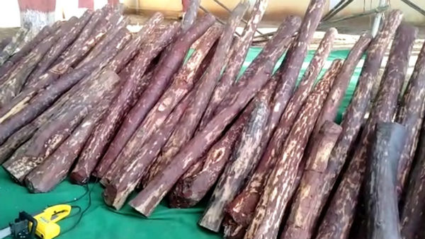  அதிரடி சோதனை 