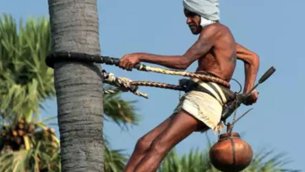 பனைத் தொழில் 