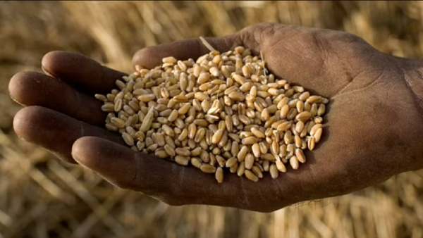 உணவு பாதுகாப்புக்காக... 