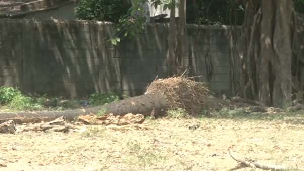 பேச்சுவார்த்தை 