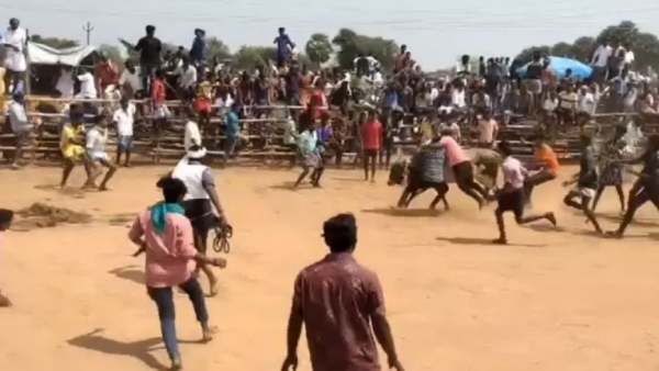 கோவில் திருவிழா 