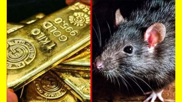  தேங்க்ஸ் டூ எலிகள்