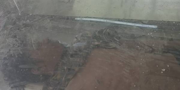 விசாரணை