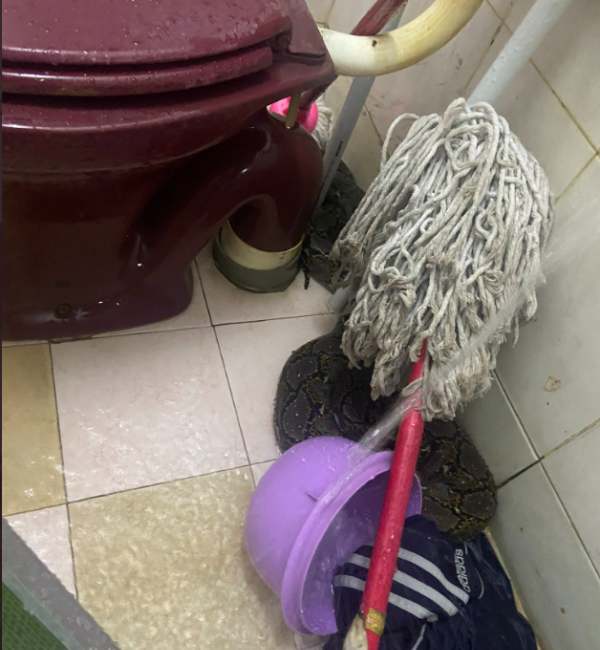 பாத்ரூம் 