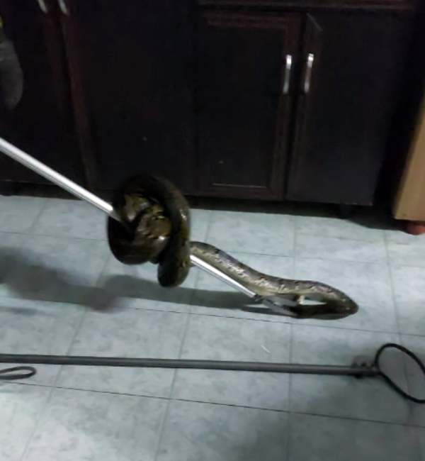 சிகரெட் 