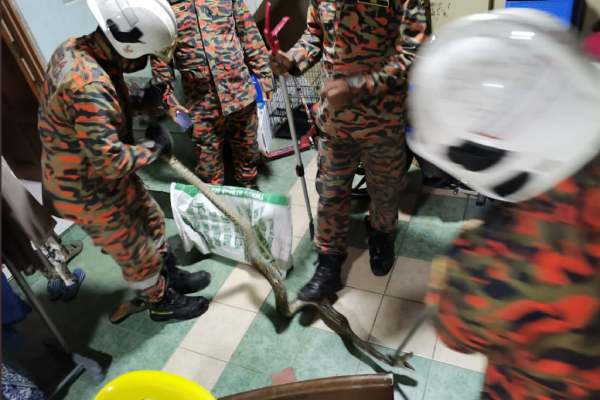 புட்டத்தை கடித்த ஜந்து 