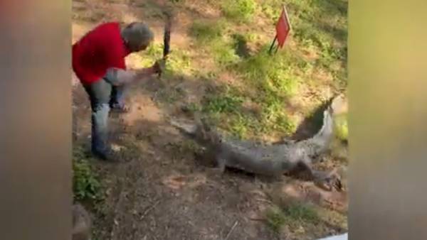  ஆஸ்திரேலியா