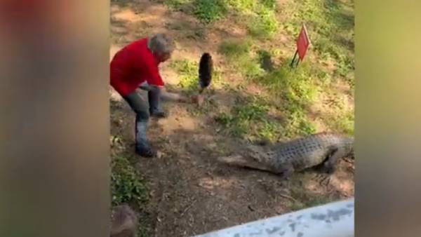  பயங்கர விலங்குகள்