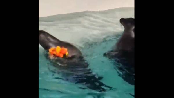  நெட்டிசன்கள்