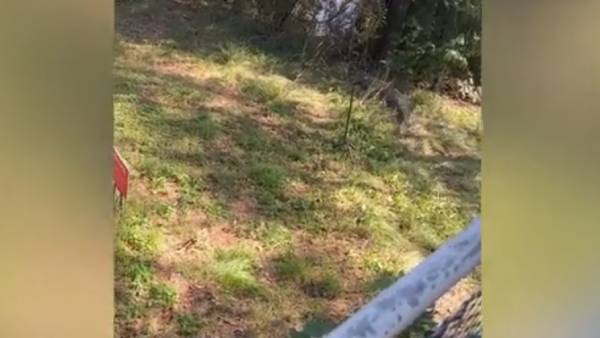  முதியவர்