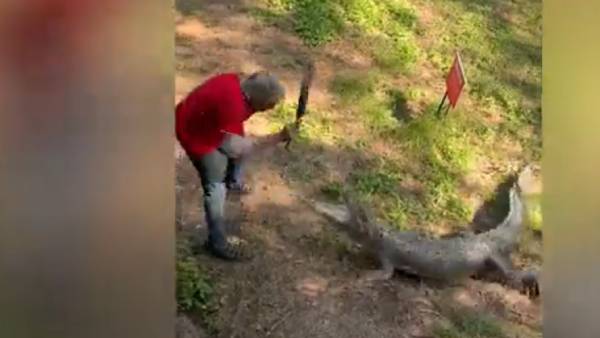  தோசைக்கல்