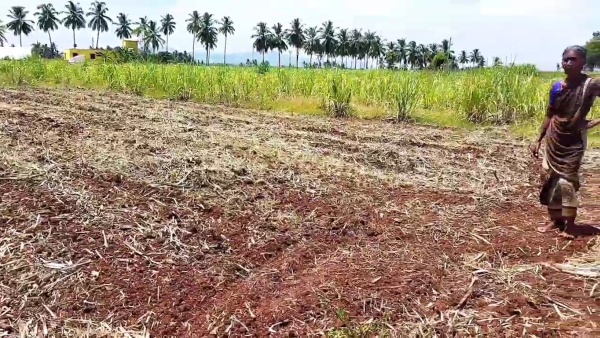 தொடர் நடவடிக்கை தொடர் நடவடிக்கை