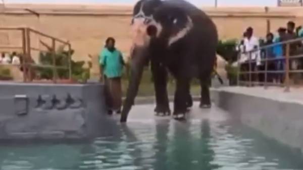 துள்ளிக்குதிக்கும் அகிலா 