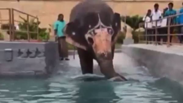 சேட்டை செய்யும் அகிலா 