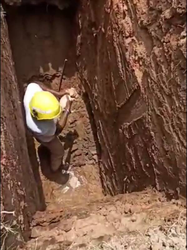 மனித நேயம் 