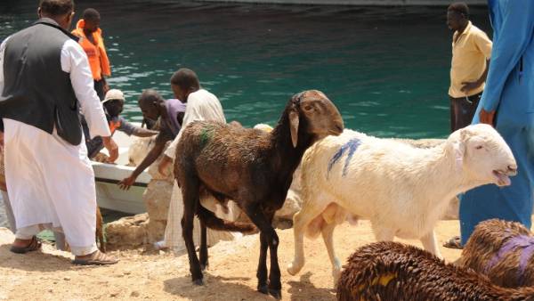 அதிர்ச்சி சம்பவம் அதிர்ச்சி சம்பவம்